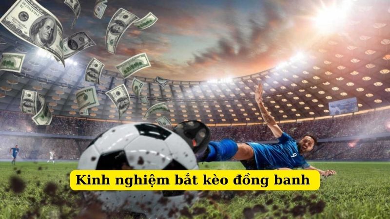 Mẹo hay dành cho người chơi mới